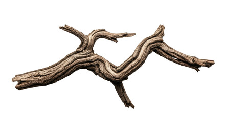 Twisted Dry Tree Branch Isolated on White Background.