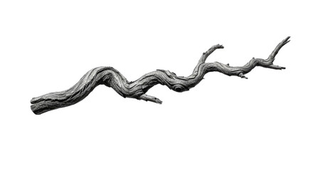 Twisted Tree Branch with Gnarled Texture.