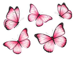 Five pink butterflies isolated on transparent background
