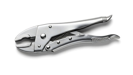 Obraz premium Locking Pliers Heavy Duty Tool for Gripping, Clamping, and Repairing with Precision