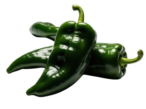 Three fresh, dark green poblano chili peppers piled together isolated on transparent background for culinary use