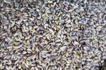 Close up top view background of fresh raw garlic clove. pile of purple vegetable ingredient for healthy cooking and culinary use, showing natural texture and color