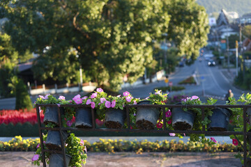 Obraz premium Serene outdoor view from garden with pink flower. In background street runs through small town with large tree, peaceful moment from nature