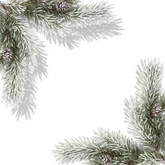 Obraz premium Snowy pine branches arranged as a natural frame on a white background, with soft shadows and a clean winter botanical aesthetic suitable for seasonal designs