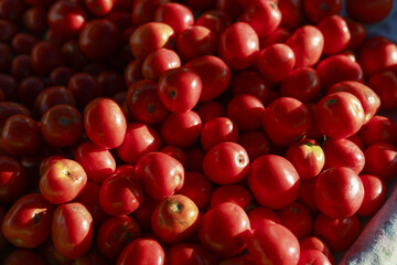 Vibrant abundance of fresh red tomato vegetable. Healthy organic food from summer harvest. Natural delicious ingredient for cooking, perfect full frame background
