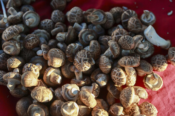 Large pile of fresh raw shiitake mushroom ingredient on display. group of natural brown fungus vegetable, healthy, organic food with rich, earthy feeling