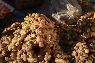 Fresh pile of raw ginger root, healthy vegetable spice and food ingredient for cooking at an outdoor market. Natural, earthy feeling with an aromatic and pungent flavor
