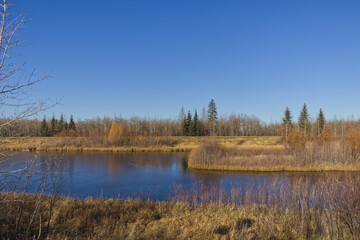 A Sunny Autumn Day at Pylypow