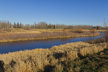 A Sunny Autumn Day at Pylypow