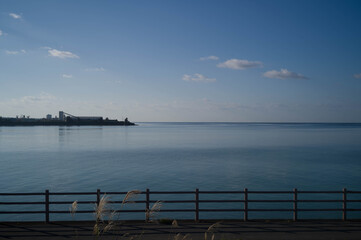沖縄の海と公園