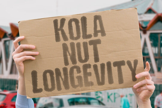 "Kola Nut Longevity" Babies receive seeds representing long healthy life blessings. KOLA. NUT. SEED. LONGEVITY. BLESSING.