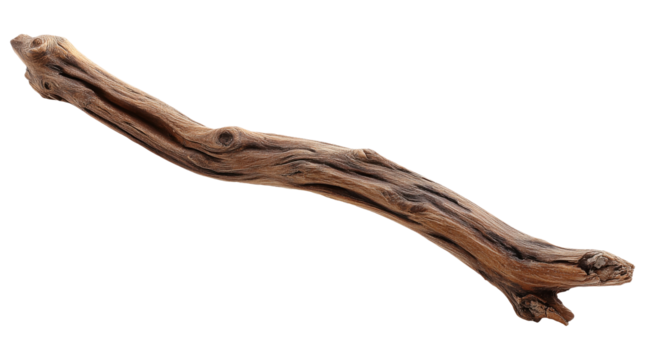 Smooth weathered driftwood with elegant curved shape and natural wood grain texture, isolated on transparent background