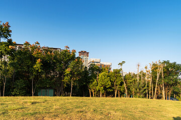 spring park and modern city