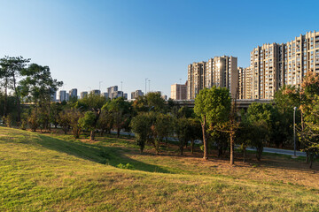 spring park and modern city