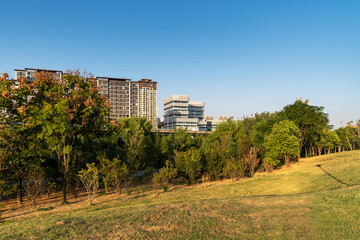 spring park and modern city