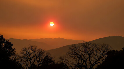 Fototapeta premium Golden hour haze over rolling hills, silhouetted trees framing the setting sun