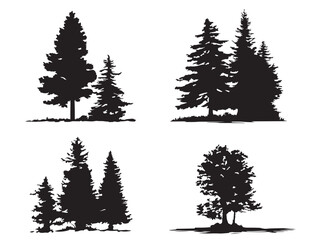 Obraz premium A lovely set of four beautiful dense pine forest silhouette vector icons