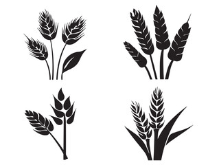 Obraz premium Stunning Set of Golden Wheat Outline Illustrations in Solid Black