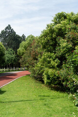 New pathway and beautiful trees track for running or walking and cycling relax in the park