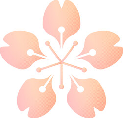 Pastel peach halftone sakura flower with stamen