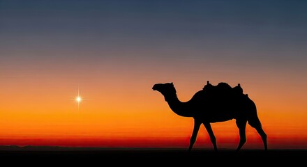 Camel silhouette walks near, camel seeks star, camel finds epiphany joy
