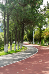 New pathway and beautiful trees track for running or walking and cycling relax in the park