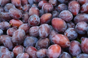 fresh plums on the market