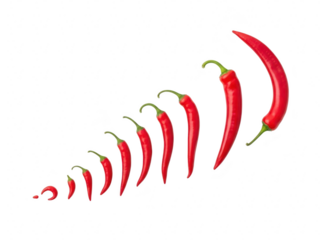 Nine red chili pepper growing in size arranged diagonally on transparent background isolated on transparent background