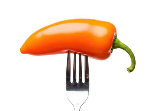 Bright orange sweet pepper pierced on the tines of a silver metal fork, isolated on transparent background