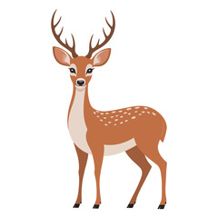 deer vector illustration