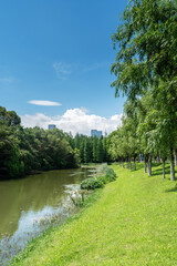 spring park and modern city