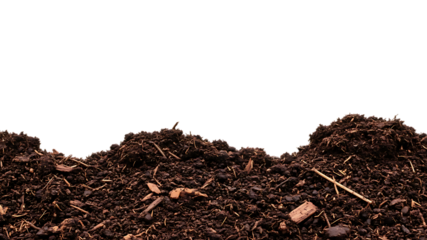 A rich, dark composted soil surface, showing texture and organic matter with small wood chips and straw fragments scattered throughout, isolated on black.