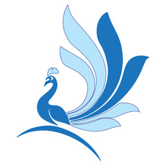 Elegant Peacock Concept