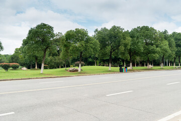 spring park and modern city