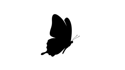Obraz premium Graceful black butterfly silhouette in mid-flight, a striking and elegant monochrome design