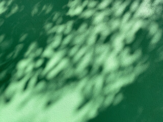 Tree shadows on a green wall.