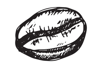 Hand drawn fresh roasted coffee bean Arabica robusta seed doodle Single element for print, web, design, decor
