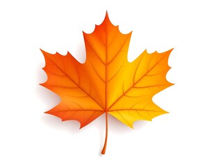 Fototapeta premium Vivid, realistic illustration of an orange and yellow maple leaf against white
