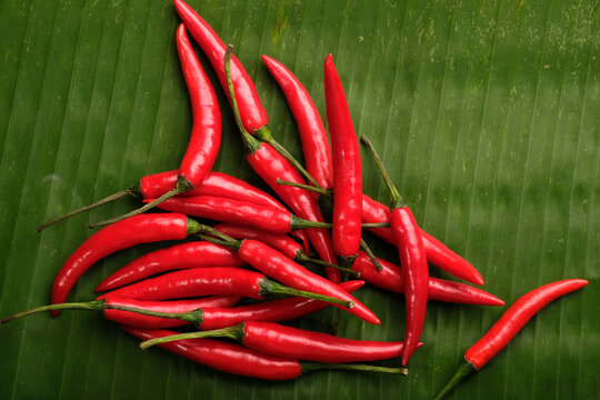 Fresh red chili peppers on green banana leaf background.