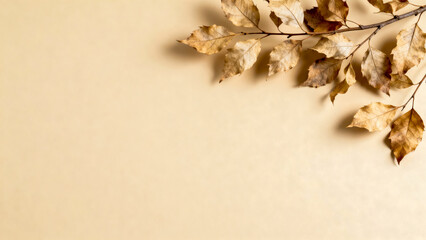 Minimalist overhead view of a delicate tree branch with dry, golden-brown autumn leaves arranged diagonally on a smooth, muted beige background with copy space