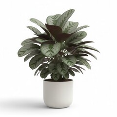 Potted succulent houseplant cactus decoration object with green leaves and flower