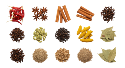 Assorted spices and herbs arranged in rows isolated PNG with Transparent Background