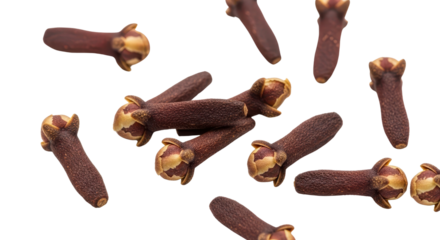 Dried cloves for culinary use isolated PNG with Transparent Background