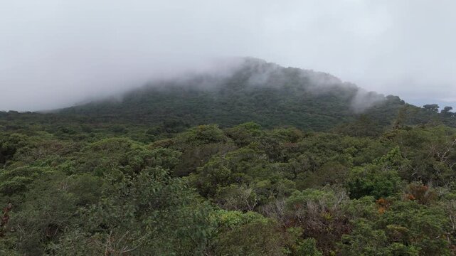 Aerial Drone Shot of Mountains and Rainforest Covered in Mist, Braulio Carrillo National Park, Costa Rica