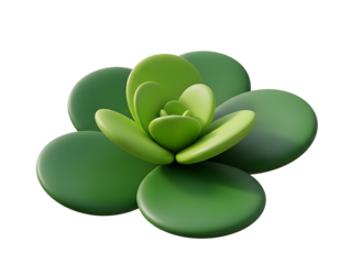 Stylized 3d green succulent plant with thick rounded leaves arranged in a rosette formation on a clear background, perfect for design elements.
