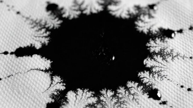 Black ink splash on white textured paper with abstract fractal patterns and artistic texture, combined with black liquid drops on fabric creating dynamic monochrome splash and creative design
