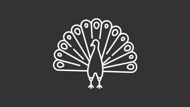 Peacock white line animation. Peafowl specie animated icon. Spiritual animal. Moving feathers, rotating head. Symbolic specie. Isolated element on dark background. Alpha transparent video