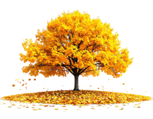 Golden autumnal tree, leaves falling