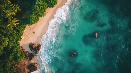An aerial view of a tropical beach with turquoise water, white sand, and lush greenery.
