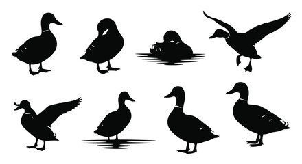 Variety of duck silhouettes in different poses against a white background